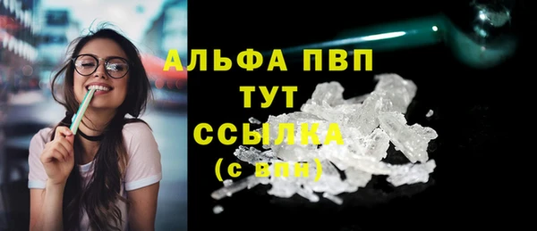 СК Абинск