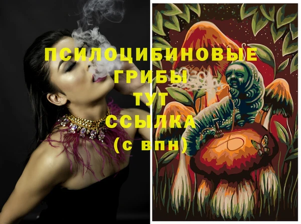 дурь Абдулино