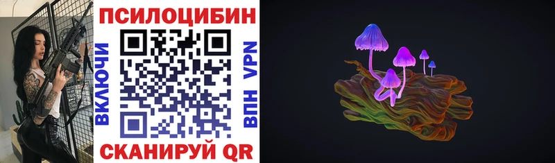 сколько стоит  Черепаново  Псилоцибиновые грибы MAGIC MUSHROOMS 